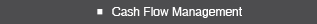 Cash Flow Management